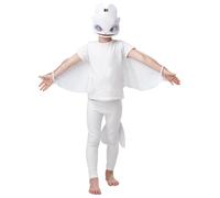Rubies Official How to Train Your Dragon - Light Fury Dragon, Childs Wings and Mask Set, One Size 3-8 Years Halloween