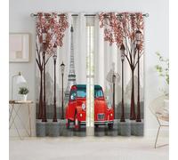 Light Gray Blackout Curtains for Bedroom Living Room, Thermal Insulated Eyelet Cartoon Modern Paris Car Curtain - Darkening Window Drapes, 29.5" x 65.4" (W x L) 2 Panels