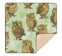 Light Green Background with Lots of Little Brown Owls on It Large Non-Slip Baby Gym & Activity Mat for Floor 1-Piecing Infant Play Activity Mat for Babies Infants Toddlers, 50'' x 50''