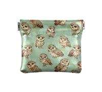 Light Green Background with Lots Of Little Brown Owls on ItWomen Leather Coin Purse Cute Change Wallet for Girls Ladies Handbag, Light green background with lots of little brown owls on it, One Size