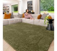 Light Green Machine Washable Warm Insulating Soft Cosy Touch Plush Thick Shaggy Rug for Bedroom Livingroom Hallway 120cm x 170cm (3ft 11" x 5ft 7")