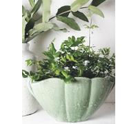 Light Green Shell Planter, Vintage Style Shell Plant Pot, Rustic Aged Herb Pot, Oval Cement Planter, Unique Indoor House Plant Succulent Bulb Pot