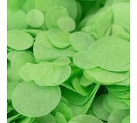 Light Green Wedding Confetti | Biodegradable Light Green Paper Circle Confetti | Throwing Aisle Table Decor Confetti | Celebration Baby Shower Party Ceremony
