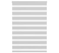 vidaXL Zebra Blind Light Grey 100x100 cm Fabric Width 95.9 cm Polyester