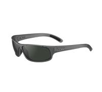 Light Grey Frost/Axis Polarised / 65