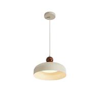Light Hanging Ceiling Lamp Chandelier 11.81" Iron Glass Shade E26 for Kitchen Island Dining Room Restaurant Bar Bedroom Entryway Ceiling Fixture with Adjustable Cord