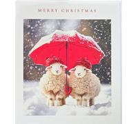 Light Hearted Cute Photographic Festive Art Christmas & Happy New Year Single Greeting Card - 185 x 155mm (7.2 x 6in) - Eco-Friendly & Recyclable (Two Sheep under Umbrella)