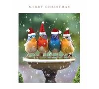 Light Hearted Cute Photographic Festive Art Christmas & Happy New Year Single Greeting Card - 185 x 155mm (7.2 x 6in) - Eco-Friendly & Recyclable (Calling Bird Gang in Santa Hats)