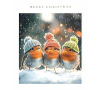 Light Hearted Cute Photographic Festive Art Christmas & Happy New Year Single Greeting Card - 185 x 155mm (7.2 x 6in) - Eco-Friendly & Recyclable (Three Robins in Woolly Hats)