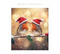 Light Hearted Cute Photographic Festive Art Christmas & Happy New Year Single Greeting Card - 185 x 155mm (7.2 x 6in) - Eco-Friendly & Recyclable (Two Robins in Santa Hats)
