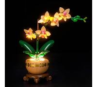Light Kit Compatible with Lego 10343 Mini Orchid Botanical Collection Set (No Model), Decoration Lighting Set for Mini Orchid 10343 Creative Toys