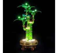 Light Kit Compatible with Lego 10344 Lucky Bamboo Botanical Collection Set (No Model), Decoration Lighting Set for Lucky Bamboo 10344 Creative Toys