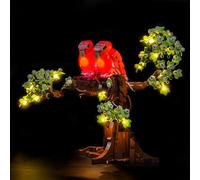 Light Kit Compatible with Lego 21365 Love Birds (No Model), Decoration Lighting Set Compatible with Lego Love Birds 21365 Building Blocks Model