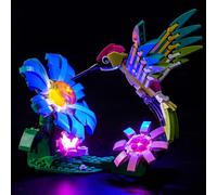 Light Kit Compatible with Lego 31384 Colorful Hummingbird (No Model)