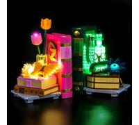 Light Kit Compatible with Lego Glinda & Elphaba Bookends 75691 (No Model), Decoration Lighting Set Compatible with Lego Glinda & Elphaba Bookends Creative Toys