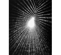 Light Lines: The Architectural Photog... By Juhani Pallasmaa,Vicky Richardson, h