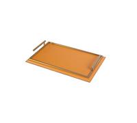 Light Luxury Breakfast Tray with Matching Leather Tissue Box - Orange Rectangular Storage Tray for Coffee Table, Elegant Home Decor, Perfect for Serving and nizing (S)