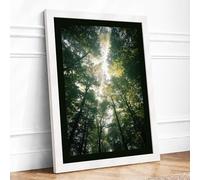 Light Through Canopy Scandinavian Framed Wall Art Print A1 White | Ready to Hang, Premium Gi Paper, Fade-Resistant Inks, Securely Packaged, UK Made