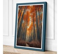 Light Through the Canopy Canvas Wall Art Print 30x20 Inch (76 x 51 cm)