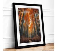 Light Through the Canopy Scandinavian Framed Wall Art Print A3 (42×29.7cm) Black, Wall Decor for Living Room, Bedroom, Office & Home, Ready to Hang, Art Gift