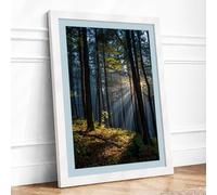 Light Through Woodland Scandinavian Framed Wall Art Print A2 White | Ready to Hang, Premium Gi Paper, Fade-Resistant Inks, Securely Packaged, UK Made