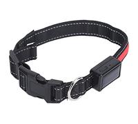 Light Up Dog Collar, Glow In The Dark Dog Collar Adjustable Lighted Safety USB Rechargeable LED For Small For Nighttime Walking Camping (L)
