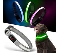 Light up Dog Collar - Multi-Color LED Dog Collar, USB-C Rechargable with Battery Indicator, Waterproof and Adjustable Rainbow Collar for Dogs(Medium)