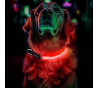 Light Up Dog Collar Rechargeable, LED Glow Collar in Dark with 3 Flash Mode for Outdoor Night Walking Visible Safe, Adjustable Waterproof Dog Light for Small Medium Large Breed, Red, M