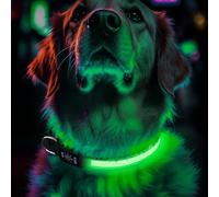 Light Up Dog Collar Rechargeable, LED Glow Collar in Dark with 3 Flash Mode for Outdoor Night Walking Visible Safe, Adjustable Waterproof Dog Light for Small Medium Large Breed, Green, M