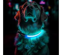 Light Up Dog Collar Rechargeable, LED Glow Collar in Dark with 3 Flash Mode for Outdoor Night Walking Visible Safe, Adjustable Waterproof Dog Light for Small Medium Large Breed, Blue, M