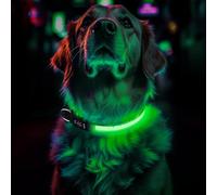 Light Up Dog Collar Rechargeable, LED Glow Collar in Dark with 3 Flash Mode for Outdoor Night Walking Visible Safe, Adjustable Waterproof Dog Light for Small Medium Large Breed, Green, L