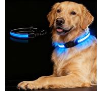 Light up Dog Collar, USB-C Rechargeable LED Flashing Adjustable Reflective Lighted Pet Collar Glowing in the Dark 200M Visibility 3 Modes for Night Walking Safety (Blue M 50CM)