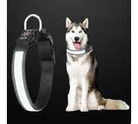 Light Up Dog Collar, USB Rechargeable Flashing Dog Collar with 3 Modes, Fully Adjustable & Waterproof, Glow in the Dark Dog Collars for Night Walking, Fits Cats & Dogs, Safety in Low Light (White)