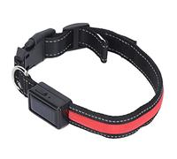 Light Up Dog Collar, USB Rechargeable LED Dog Collar Glow In The Dark Adjustable Lighted Safety Light Up for Nighttime Walking Camping (L)