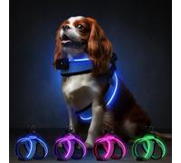Light Up Dog Harness,360°High Brightness,Rechargeable LED Dog Harness,3 Flash Modes,Reflective Flashing Glow for Night Walking,Fits Puppy Small Dogs,Blue-S