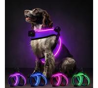 Light Up Dog Harness,360°High Brightness,Rechargeable LED Dog Harness,3 Flash Modes,Reflective Flashing Glow for Night Walking,Fits Small Medium Dogs,Pink-L