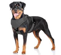 Light Up Dog Harness, Adjustable No Pull Reflective Vest with Front/Back Clips, Step-In Breathable Mesh for Small to Medium Dogs, Night Walking Safety & Training Control