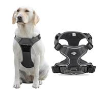 Light Up Dog Harness, Adjustable No Pull Reflective Vest with Front/Back Clips, Step-In Breathable Mesh for Small to Medium Dogs, Night Walking Safety & Training Control