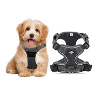 Light Up Dog Harness, Adjustable No Pull Reflective Vest with Front/Back Clips, Step-In Breathable Mesh for Small to Medium Dogs, Night Walking Safety & Training Control