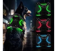 Light up Dog Harness, LED Dog Vest Harness Rechargeable, Adjustable & Reflective Dogs Light Harnesses with Handle & 2 Lead Clips, Soft Padded Harnesses for Small, Medium Large Dogs(Green XL)