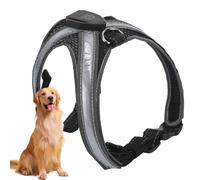 Light Up Dog Harness, LED Dog Vest Harnesses Rechargeable Adjustable Reflective Dog Harness Glow in the Dark for Puppy Small Medium Dogs Walking in Light