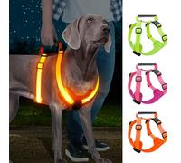 Light Up Dog Harness, Led No Pull Dog Harness with Handle Reflective Glow-in-The-Dark for Night Walking, USB Rechargeable Lighted Vest for Medium Large Dogs, Adjustable Soft Illuminated (Orange, M)