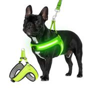Light Up Dog Harness Medium, Step in Vest Harness Flashing Glow in the Dark, Rechargeable LED Dog Vest with 3 Light Modes - Perfect for Camping - Green (Green Glow), M