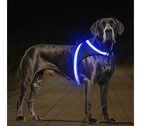 Light Up Dog Harness, No Pull Led Dog Harness Glow-in-The-Dark for Night Walking, USB Rechargeable Lighted Safety Vest for Medium Large Dogs, Adjustable Soft Fully Illuminated (Blue, Large)