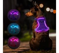 Light Up Dog Harness, Rechargeable LED Dog Harness for Puppy Small Medium Large Dog, 3 Lighting Modes Glowing in the Dark Dog Harness Adjustable Waterproof for Night Walking(Purple L)