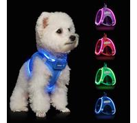 Light Up Dog Harness,Rechargeable LED Dog Harness for Small Medium Large Dogs,Reflective Lighted Safety Vest for Night Walking & Camping,Lightweight & Adjustable,Sky Blue,M