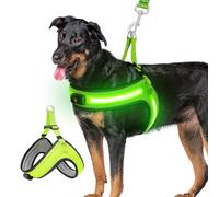 Light Up Dog Harness with Light Flashing Glow in the Dark, USB Rechargeable LED Vest Harness with 3 Light Modes - Stylish Step in Dog Vest for Night Walking/Camping - Green Light