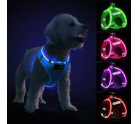 Light Up Dog Harness with Rechargeable LED - Waterproof Reflective Dog Harness Glow in the Dark - Flashing Harness for Puppy Small Medium Dogs Walking in Light, Blue-M
