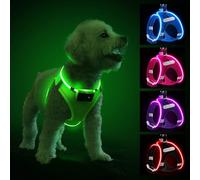 Light Up Dog Harness with Rechargeable LED - Waterproof Reflective Dog Harness Glow in the Dark - Flashing Harness for Puppy Small Medium Dogs Walking in Light, Green-S