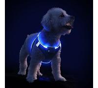 Light Up Dog Harness with Rechargeable LED - Waterproof Reflective Dog Harness Glow in the Dark - Flashing Harness for Puppy Small Medium Dogs Walking in Light, XS